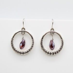 Boho crystal hoop earrings